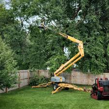 Best Aeration Services  in Rock Hill, MO